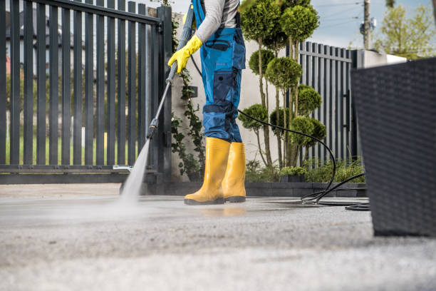 Best Boat and Dock Cleaning  in Harpersville, AL